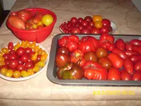 Impressionen 013.webp