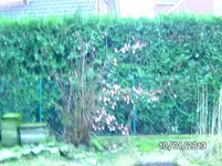 BILD2277.webp