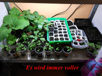 DSCN0109.webp