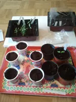 2013-01-12 13.47.40.webp