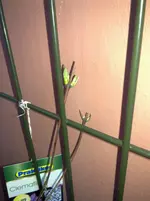 120120131084.webp