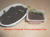 DSCN0118.webp
