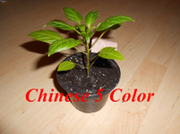 DSCN0112.webp