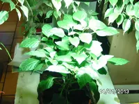 BILD2301.webp