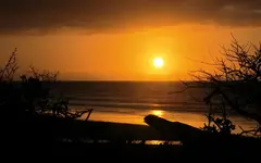 gold'ne Abendsonne.webp