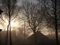 DSCF1589.webp