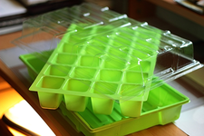 green house 3teilig_600.webp
