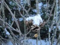 011.webp