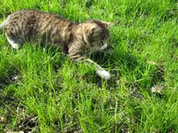 Kopie von IMG_0175.webp