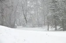 2013_0114Winter0030.webp