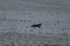 2013_0116Winter0003.webp