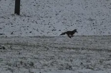 2013_0116Winter0004.webp
