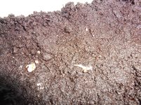 DSCN0121.webp
