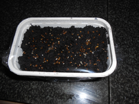 DSCN0122.webp