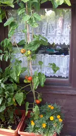 S7307849.webp