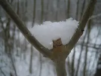 DSCN0715.webp