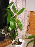 IMG_5698.webp