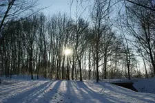 Wintersonne_DSC05581.webp