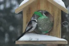 2013_0117Winter0034.webp