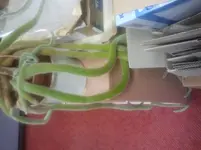 2013-01-09 15.17.56.webp