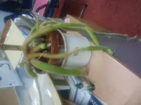 2013-01-09 15.17.45.webp