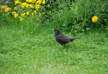 DSC_5978.2.webp