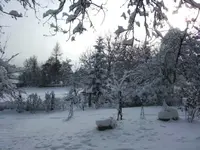 BILD1913.webp