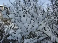 BILD1919.webp