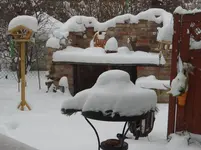 Winter2.webp