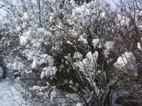 BILD1915.webp