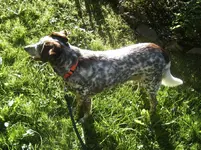 BILD1075.webp
