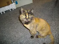 IMGP0106.webp