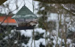 abflug.webp