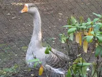 075.webp