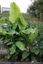 comp_DSC00540.webp