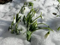 DSCN6566.webp
