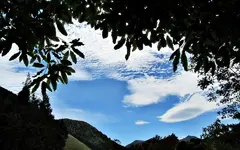 Copy of IMG_6154v.webp
