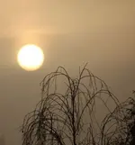 Sonne im Hochnebel 2.1.+.webp