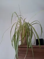 20130121_101038.webp
