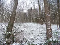 22.01 13 012.webp