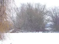 22.01 13 014.webp