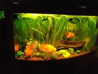 aquakomplett.webp