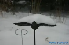 comp_DSC08859.webp