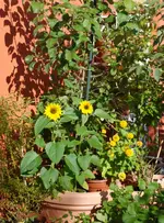 DSC_8460.2.August.webp