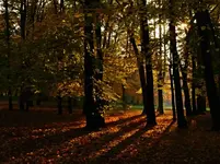 DSC_3919_Herbstsonne.webp