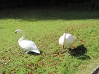 040.webp