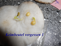 DSCN0127.webp