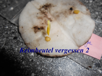 DSCN0128.webp