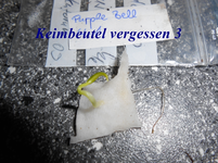DSCN0129.webp