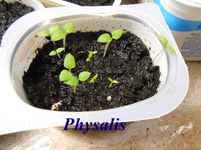 DSCN0135.webp